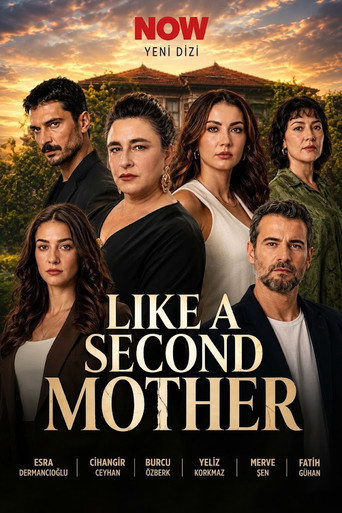 Series poster for Like A Second Mother (2026)