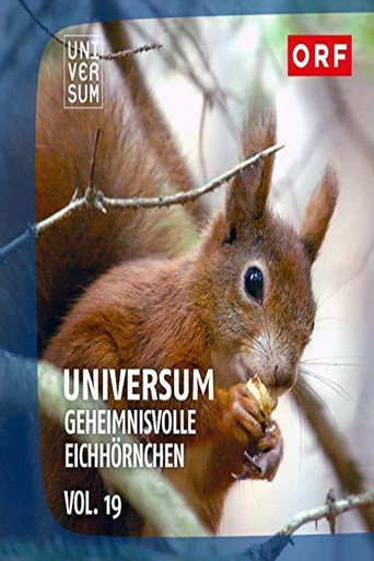 Movie poster for Geheimnisvolle Eichhörnchen (2018)