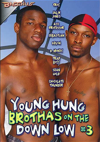 Movie poster for Young Hung Brothas on the Down Low 3 (2011)