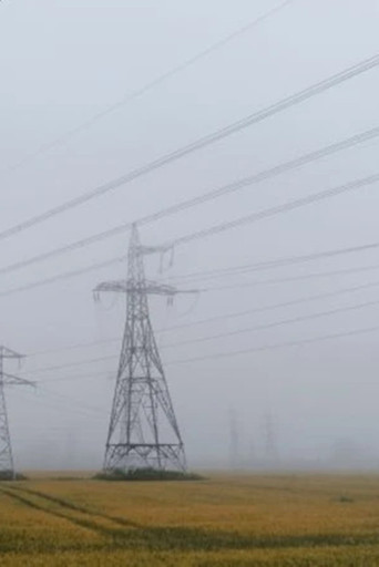 Invasive Species poster