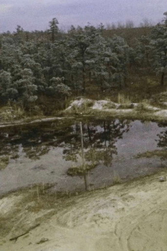 Movie poster for Pine Barrens (1975)