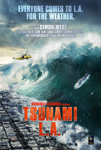 Tsunami LA poster