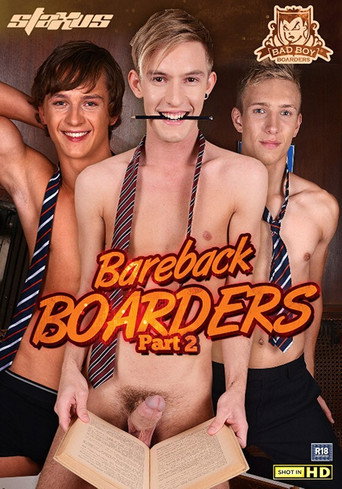 Movie poster for Bareback Boarders 2 (2013)