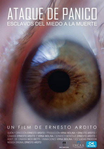 Movie poster for Ataque de pánico (2017)