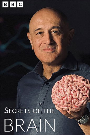 Secrets of the Brain poster