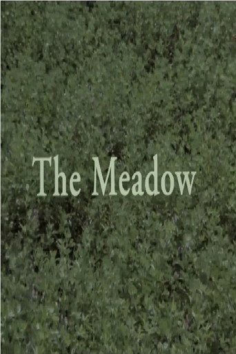 The Meadow poster