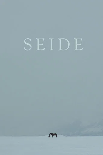 Movie poster for Seide (2015)