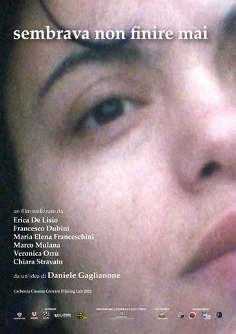 Movie poster for Sembrava non finire mai (2024)
