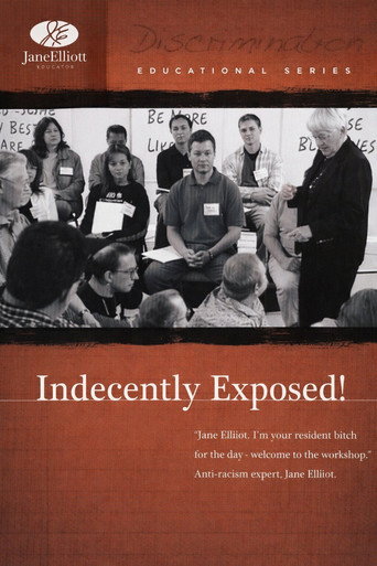Movie poster for Indecently Exposed! (2004)