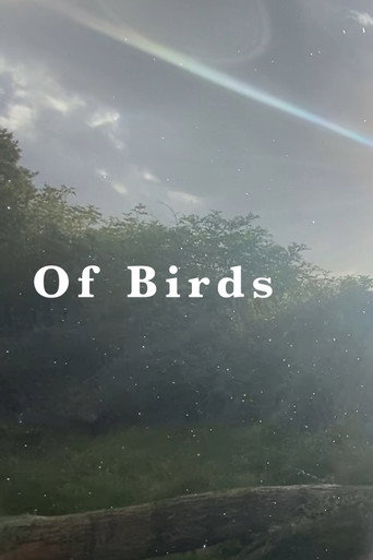 Movie poster for Of Birds