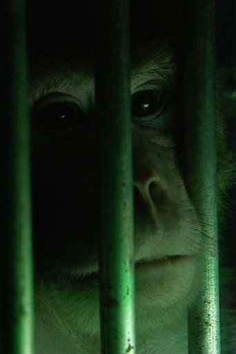 Movie poster for Monkeys, Rats and Me (2006)