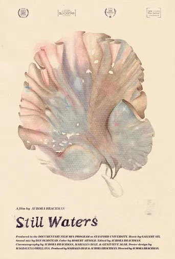 Still Waters poster