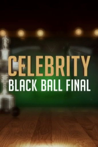 Celebrity Black Ball Final with Steve Davis poster