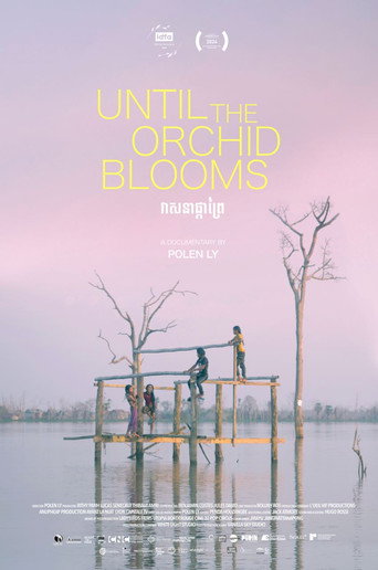 Movie poster for Until the Orchid Blooms (2024)