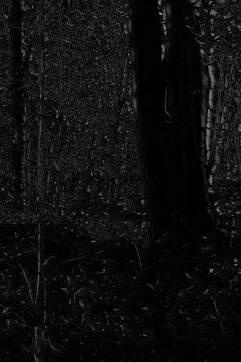 Movie poster for Phosphenes II (2024)