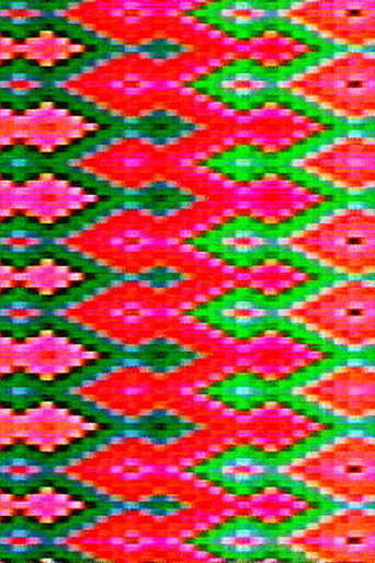 Movie poster for Video Weavings (1974)