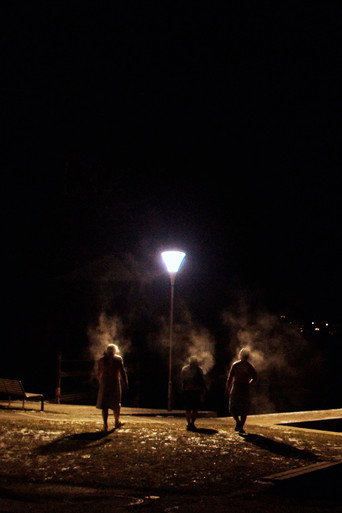 Movie poster for Die Saunagänger vom Attersee (2021)