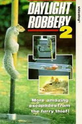 Movie poster for Daylight Robbery 2 (1991)