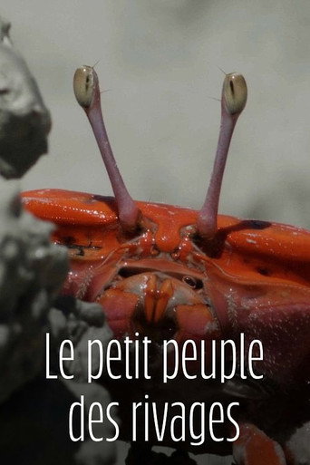 Series poster for Le Petit Peuple des rivages (2024)