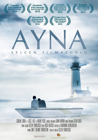 Movie poster for The Mirror (2014)