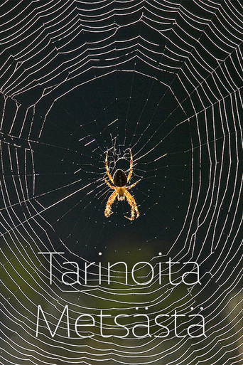 Stories from the Forest poster