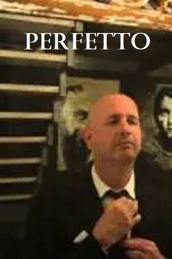 Movie poster for Perfetto (2013)