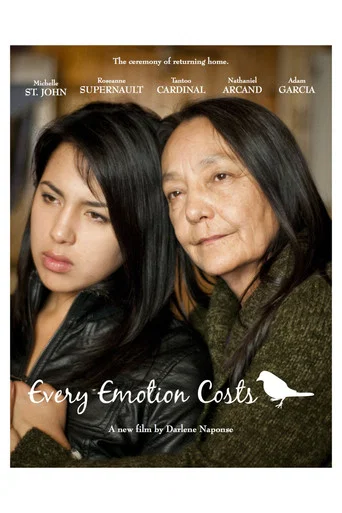 Movie poster for Every Emotion Costs (2010)