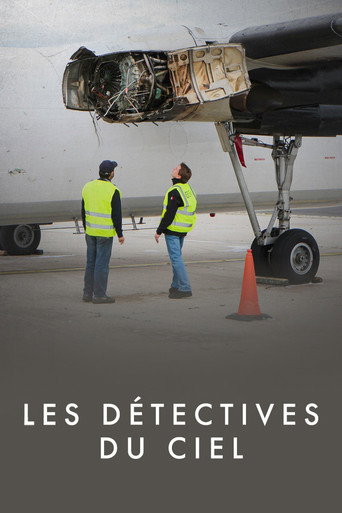 Movie poster for Les Détectives du ciel (2022)