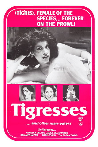 Movie poster for Tigresses (1979)