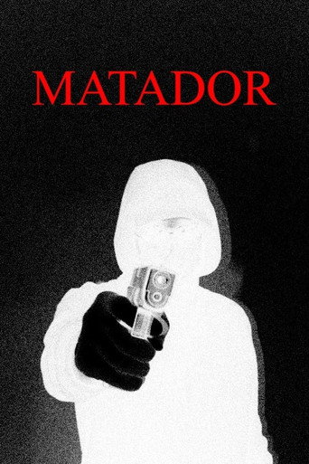 Movie poster for MATADOR
