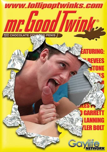 Movie poster for Mr. Good Twink (2012)