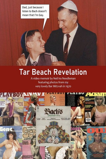 Movie poster for Tar Beach Revelation