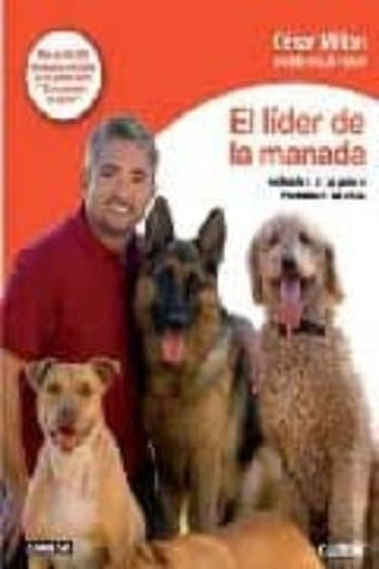 El líder de la manada poster