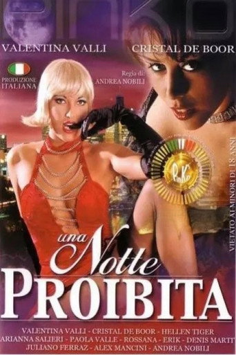 Movie poster for A Forbidden Night (2002)