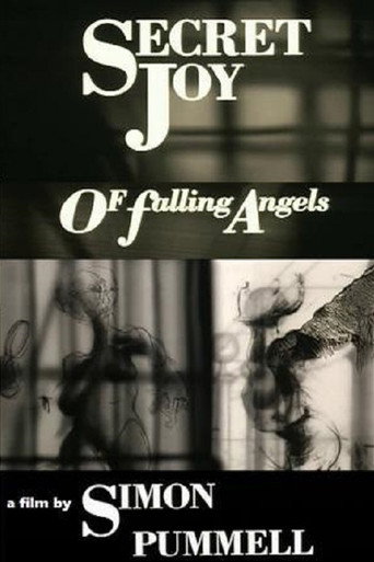 Movie poster for Secret Joy of Falling Angels (1991)