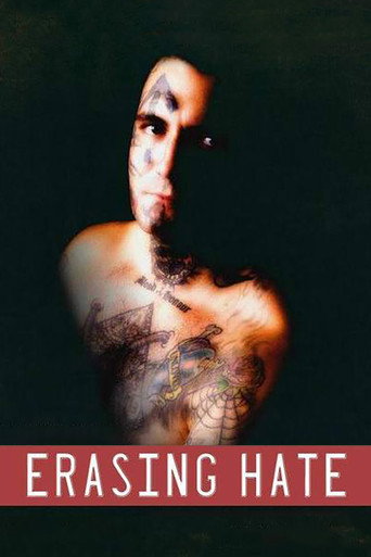 Movie poster for Erasing Hate (2011)