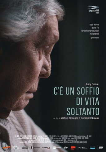 Movie poster for A Breath of Life (2021)