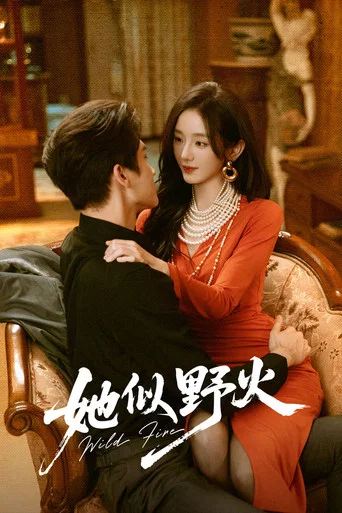 Series poster for Wild Fire