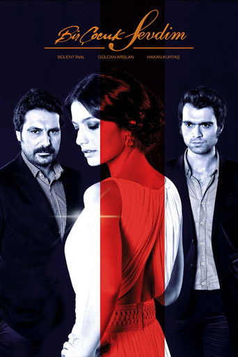 Bir Çocuk Sevdim poster