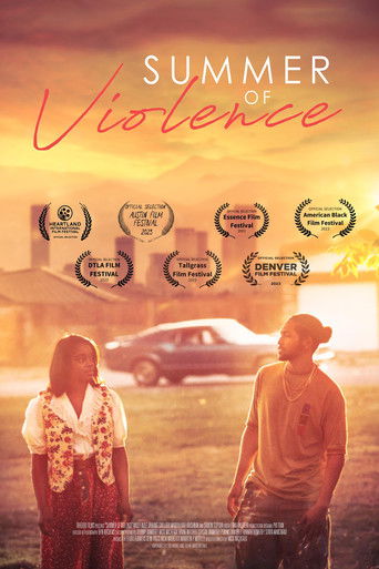 Summer of Violence poster