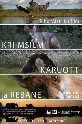 Movie poster for Notes from the Woods (2025)
