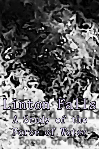 Movie poster for Linton Falls - A Study of the Force of Water (2024)