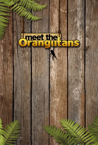 Series poster for Meet the Orangutans (2015)
