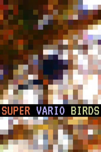 Movie poster for Super Vario Birds (2019)