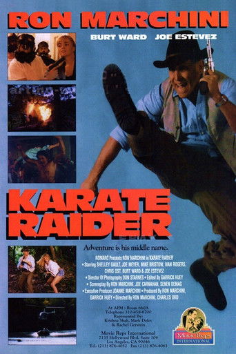 Karate Raider poster