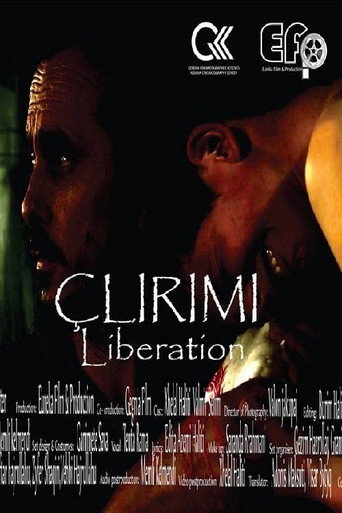 Movie poster for Liberation (2015)