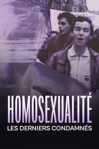 Movie poster for Homosexualité, les derniers condamnés (2022)