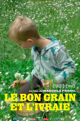 Movie poster for The Good Grain and the Chaff (2021)