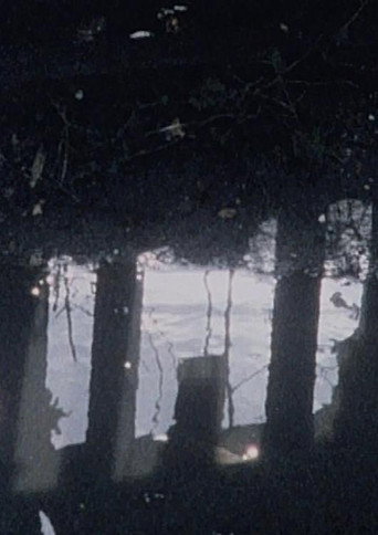 Movie poster for Hole (1992)