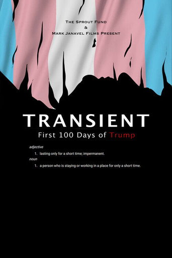 Movie poster for Transient (2018)